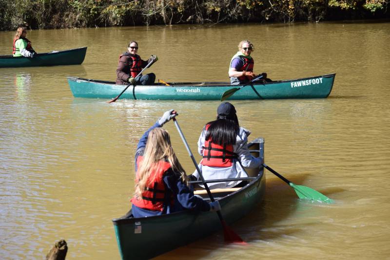 CleanHomeAL 2019 0124