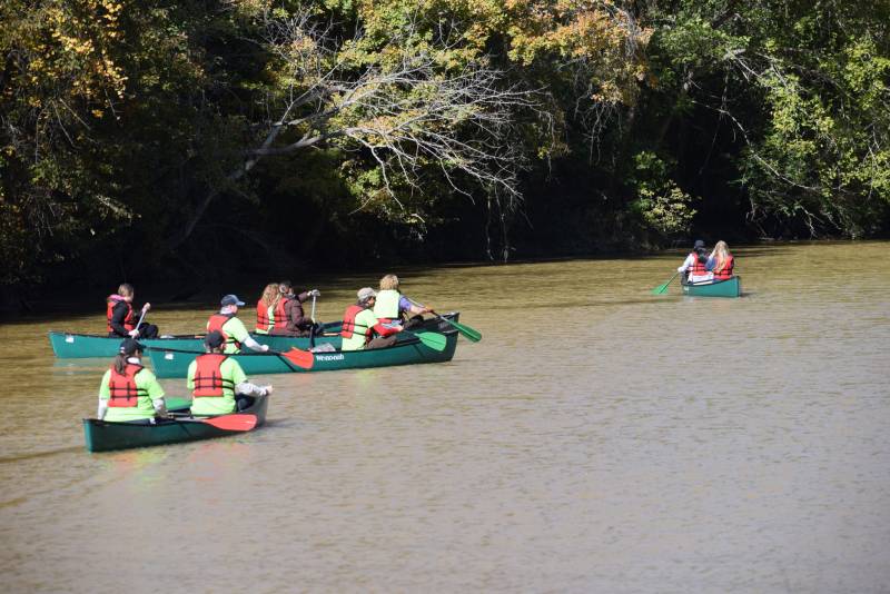 CleanHomeAL 2019 0178